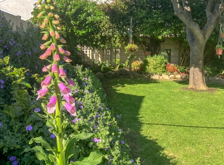3 Bedroom Property for Sale in Victoria Park Western Cape
